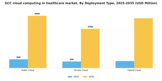 GCC Cloud Computing in Healthcare Market Segment Image 1