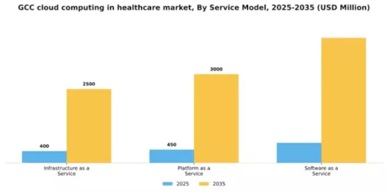 GCC Cloud Computing in Healthcare Market Segment Image 3
