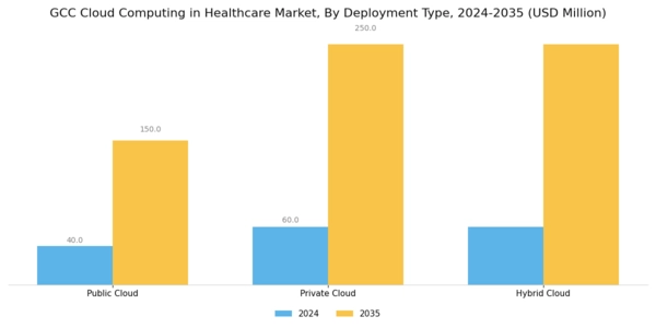 GCC Cloud Computing in Healthcare Market Segment Image 1
