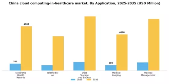 China Cloud Computing in Healthcare Market Segment Image 0