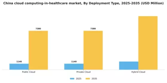 China Cloud Computing in Healthcare Market Segment Image 1