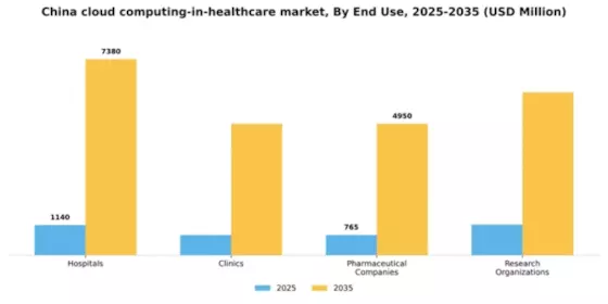 China Cloud Computing in Healthcare Market Segment Image 2