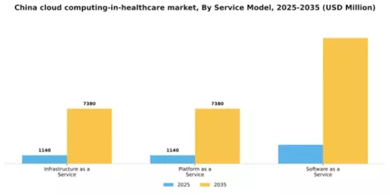 China Cloud Computing in Healthcare Market Segment Image 3