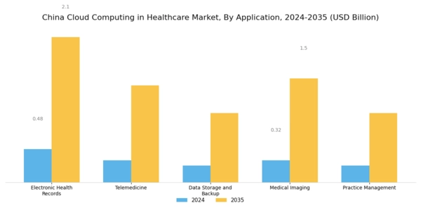 China Cloud Computing in Healthcare Market Segment Image 0