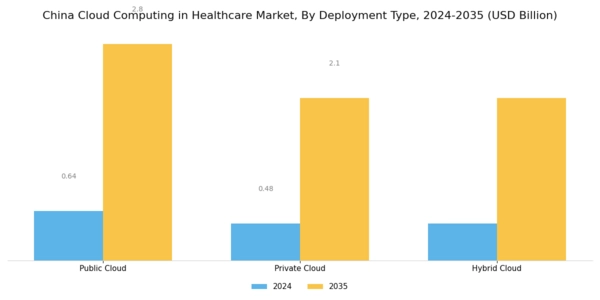 China Cloud Computing in Healthcare Market Segment Image 1