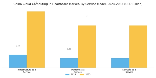 China Cloud Computing in Healthcare Market Segment Image 2
