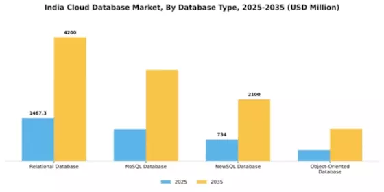 India Cloud Database Market Segment Image 1