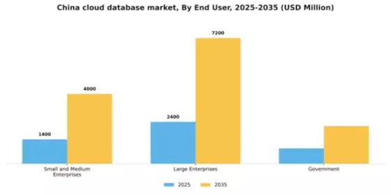 China Cloud Database Market Segment Image 3