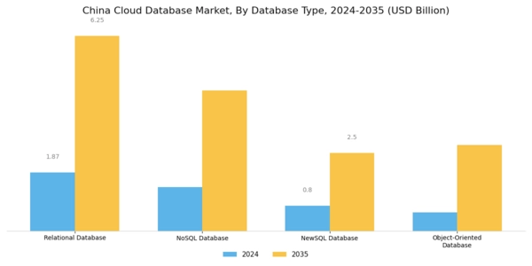 China Cloud Database Market Segment Image 1
