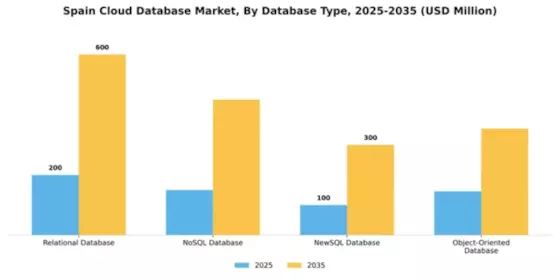 Spain Cloud Database Market Segment Image 1