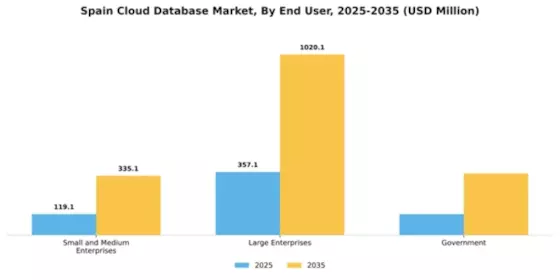 Spain Cloud Database Market Segment Image 3