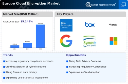 Europe Cloud Encryption Market Infographic