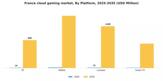 France Cloud Gaming Market Segment Image 1