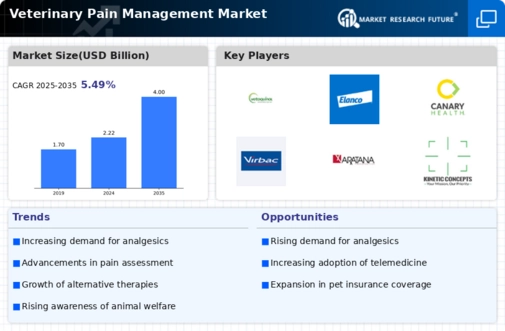 Veterinary Pain Management Market Infographic