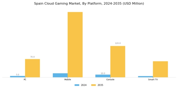 Spain Cloud Gaming Market Segment Image 0