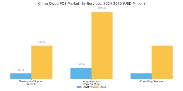 China Cloud POS Market Segment Image 0