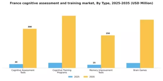 France Cognitive Assessment Training Market Segment Image 3