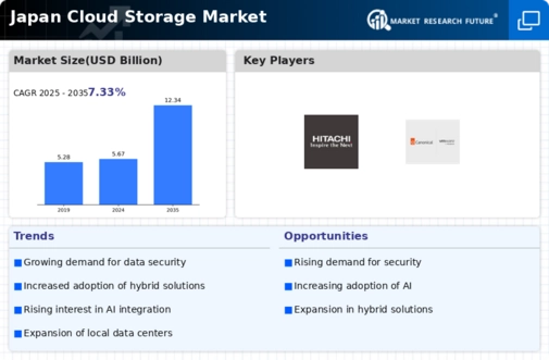 Japan Cloud Storage Market Infographic