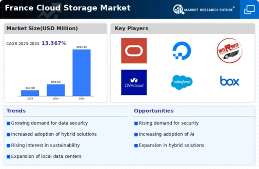 France Cloud Storage Market Infographic
