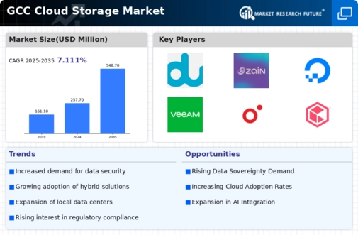 GCC Cloud Storage Market Infographic