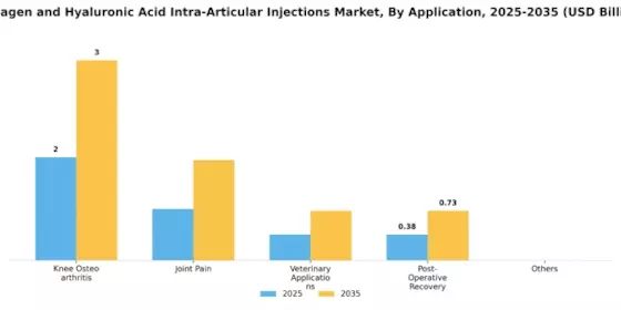 Collagen Hyaluronic Acid Intra Articular Injections Market  Segment Image 0