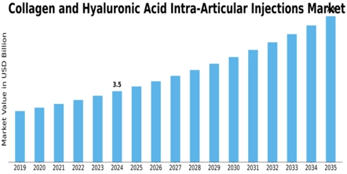 Collagen Hyaluronic Acid Intra Articular Injections Market  Size