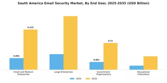 South America Email Security Market Segment Image 2