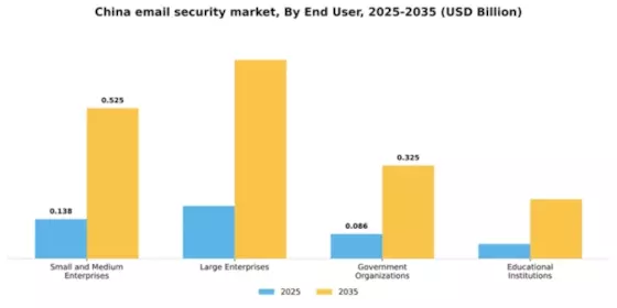 China Email Security Market Segment Image 2