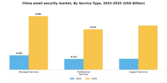 China Email Security Market Segment Image 3
