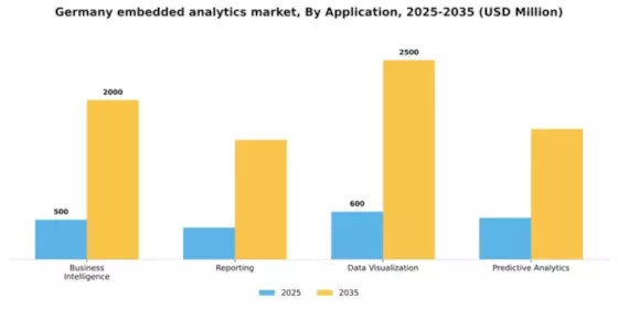 Germany Embedded Analytics Market Segment Image 0