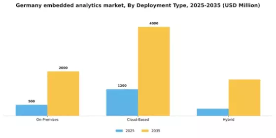 Germany Embedded Analytics Market Segment Image 1