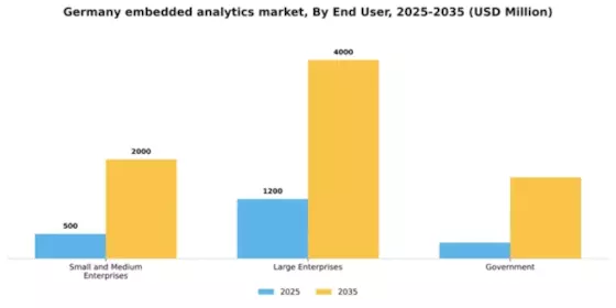 Germany Embedded Analytics Market Segment Image 2