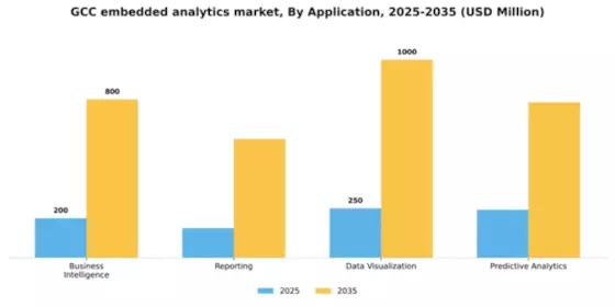 GCC Embedded Analytics Market Segment Image 0