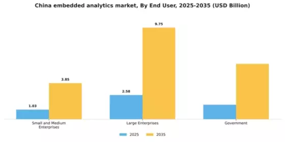 China Embedded Analytics Market Segment Image 2