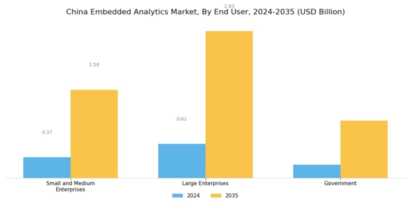 China Embedded Analytics Market Segment Image 2