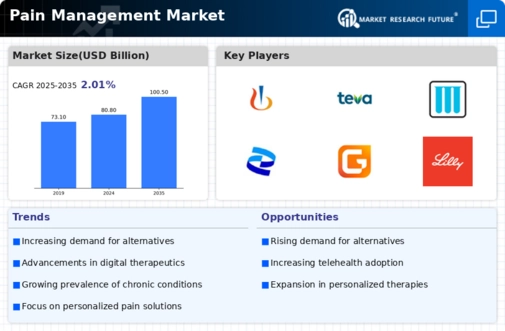 Pain Management Market Infographic
