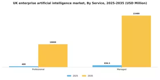 UK Enterprise Artificial Intelligence Market Segment Image 2