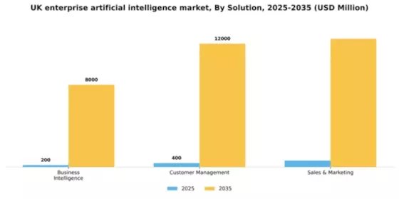 UK Enterprise Artificial Intelligence Market Segment Image 3