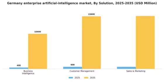 Germany Enterprise Artificial Intelligence Market Segment Image 3