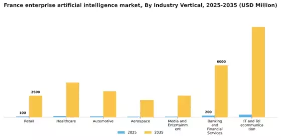 France Enterprise Artificial Intelligence Market Segment Image 1