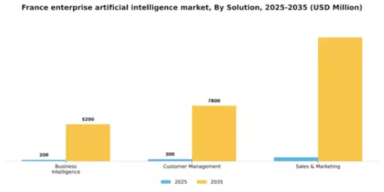 France Enterprise Artificial Intelligence Market Segment Image 3