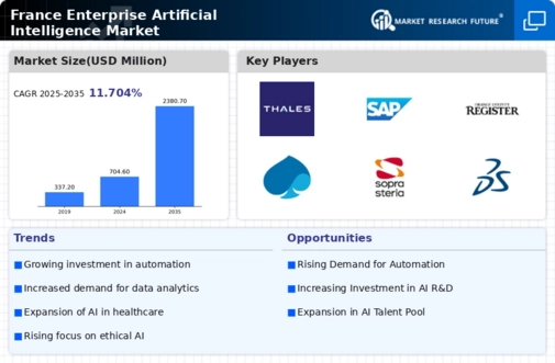 France Enterprise Artificial Intelligence Market Infographic