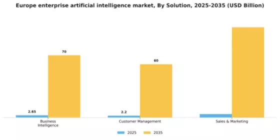 Europe Enterprise Artificial Intelligence Market Segment Image 3