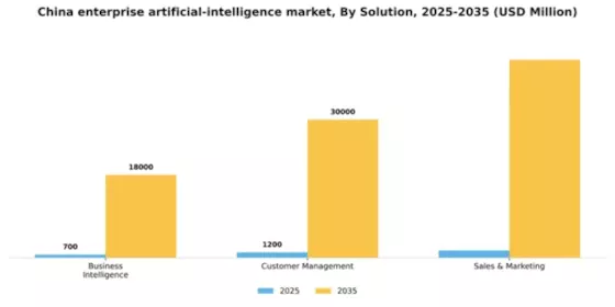 China Enterprise Artificial Intelligence Market Segment Image 3