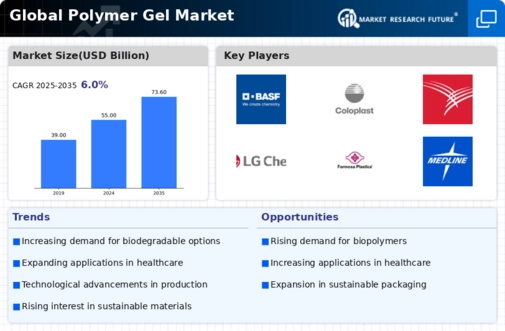 Polymer Gel Market Infographic