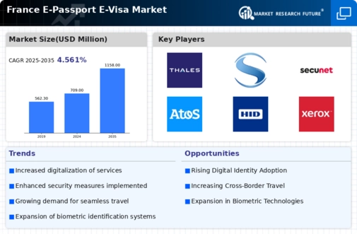 France E Passport E Visa Market Infographic
