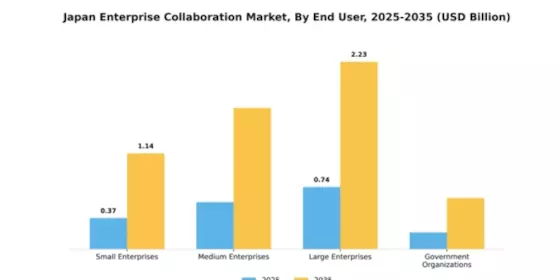 Japan Enterprise Collaboration Market Segment Image 2