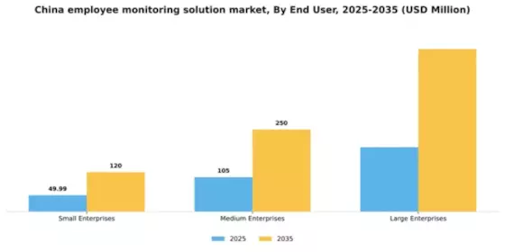 China Employee Monitoring Solution Market Segment Image 1