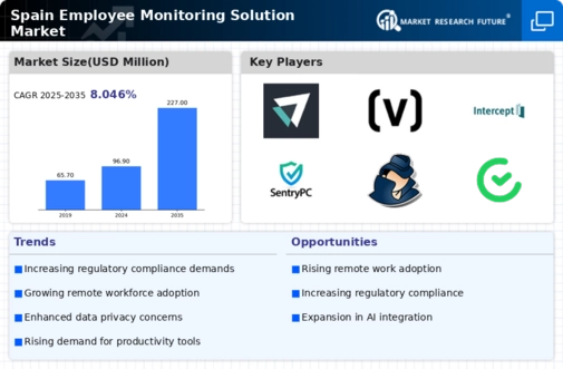 Spain Employee Monitoring Solution Market Infographic