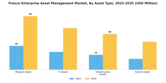 France Enterprise Asset Management Market Segment Image 0